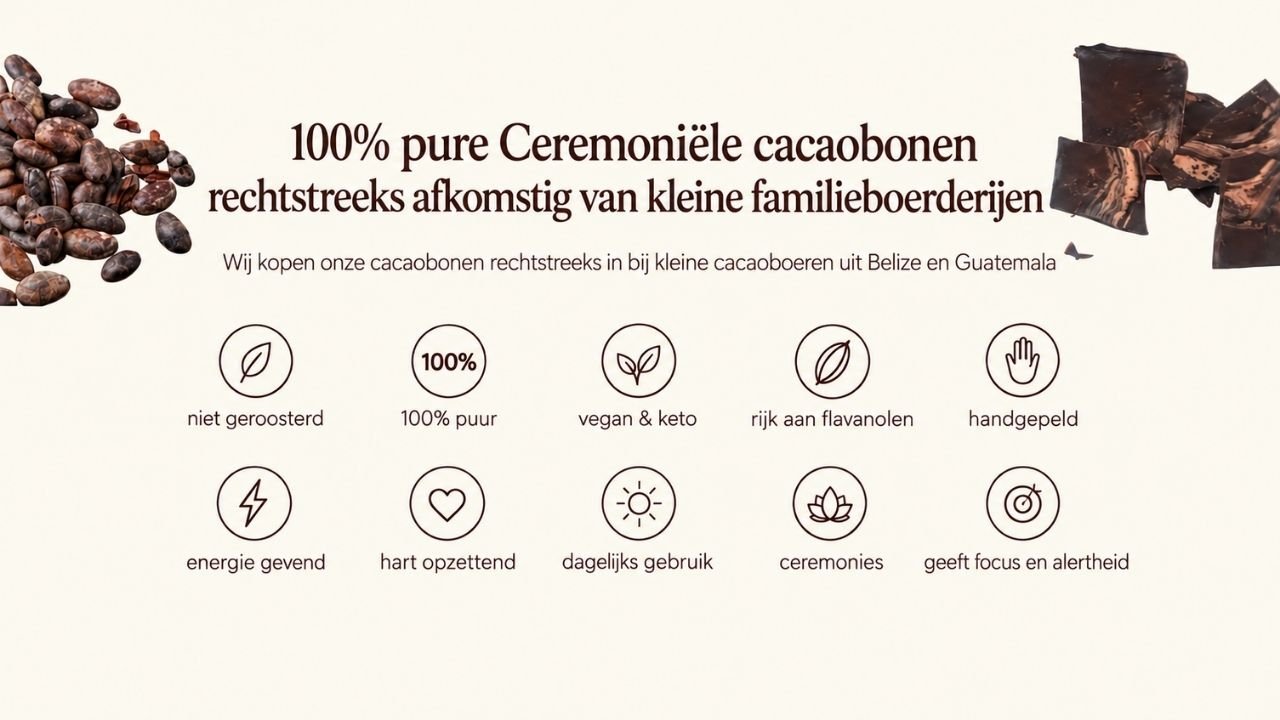 Pure ceremoniële cacaobonen rechtstreeks van kleine familieboerderijen uit Belize en Guatemala